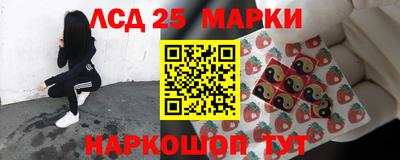 гашик Брянск