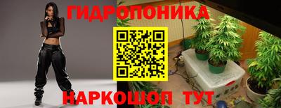 тгк Братск