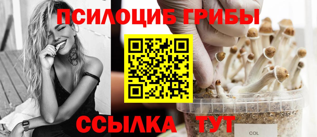 Псилоцибиновые грибы прущие грибы  Вход с VPN  Нефтекамск  Галлюциногенные грибы прущие грибы 